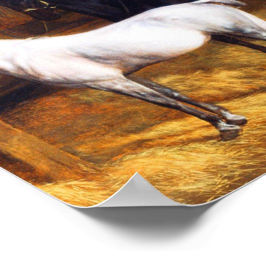 Een grijs Pony en een zwart paard in een Stabiel Poster (Hoek)