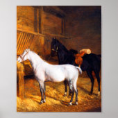 Een grijs Pony en een zwart paard in een Stabiel Poster (Voorkant)