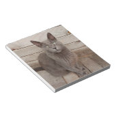 Een grijze edele kat notitieblok (Schuin)