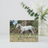 Een grijze Percheron-vogel in Frankrijk Briefkaart (Staand voorkant)