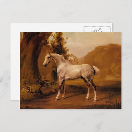 Een grijze steen in een landschap van George Stubb Briefkaart (Voorkant / Achterkant)
