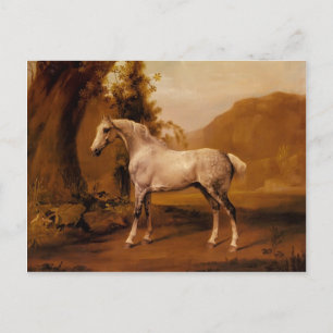 Een grijze steen in een landschap van George Stubb Briefkaart