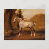 Een grijze steen in een landschap van George Stubb Briefkaart (Voorkant)