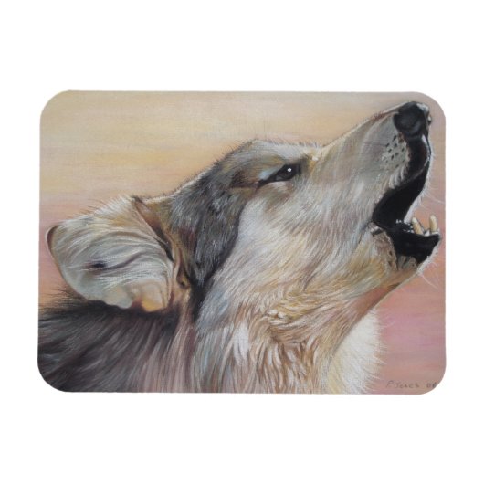 een grijze wolf in het wild die tegen zonsondergan magneet (Horizontaal)