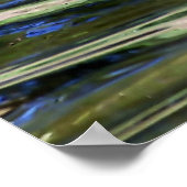 Een Grizzly Beer dat in het water speelt Poster (Hoek)