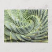 Een groen en wit succes briefkaart (Voorkant)