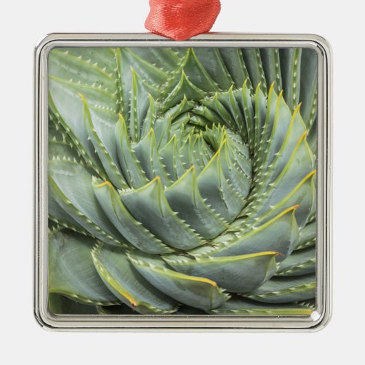 Een groen en wit succes metalen ornament (Voorkant)
