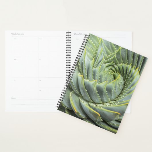 Een groen en wit succes planner (Display)