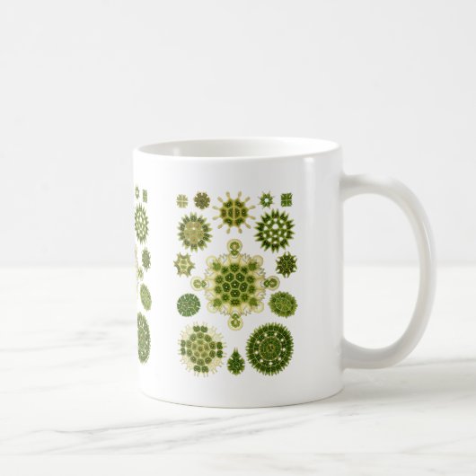 Een groene algen koffiemok (Rechts)
