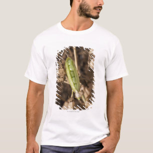 Een groene erwtendop op een gedroogd erwt-Plant T-shirt