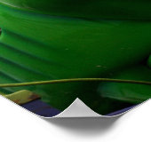 Een groene katerpaal die een eerlijk ritje afbeeld poster (Hoek)