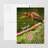 Een groene reiger briefkaart (Voorkant / Achterkant)