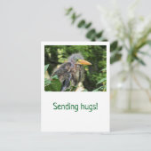 Een groene reiger briefkaart (Staand voorkant)