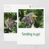 Een groene reiger briefkaart (Voorkant / Achterkant)