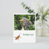 Een groene reiger briefkaart (Staand voorkant)