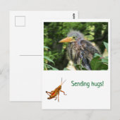 Een groene reiger briefkaart (Voorkant / Achterkant)