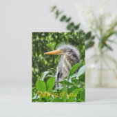 Een groene reiger. Denken aan jou Feestdagenkaart (Staand voorkant)