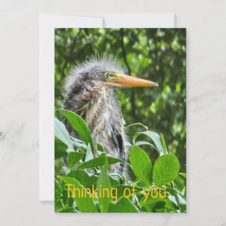 Een groene reiger. Denken aan jou Kaart