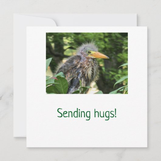 Een groene reiger feestdagenkaart (Voorkant)
