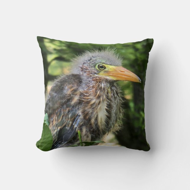 Een groene reiger kussen (Voorkant)