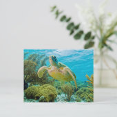 Een groene schildpad op de zwarte riffen van Bonai Briefkaart (Staand voorkant)