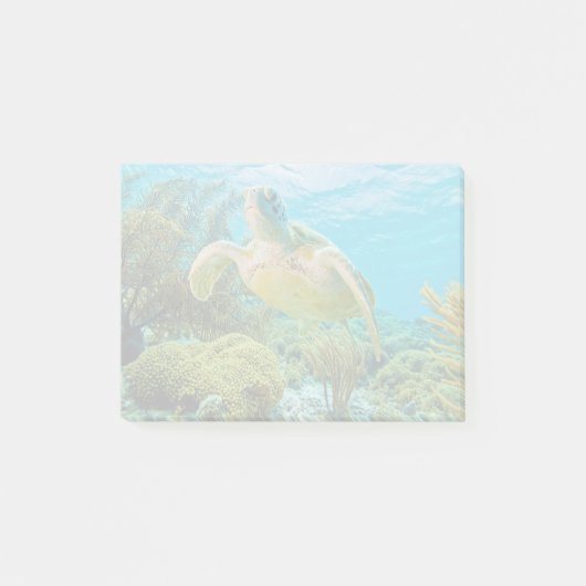 Een groene schildpad op de zwarte riffen van Bonai Post-it® Notes (Voorkant)