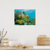 Een groene schildpad op de zwarte riffen van Bonai Poster (Keuken)