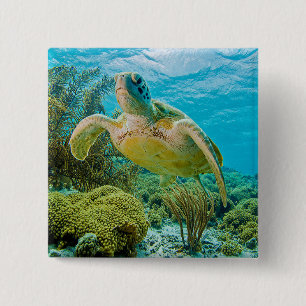 Een groene schildpad op de zwarte riffen van Bonai Vierkante Button 5,1 Cm