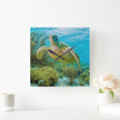 Een groene schildpad op de zwarte riffen van Bonai Vierkante Klok (Huis)