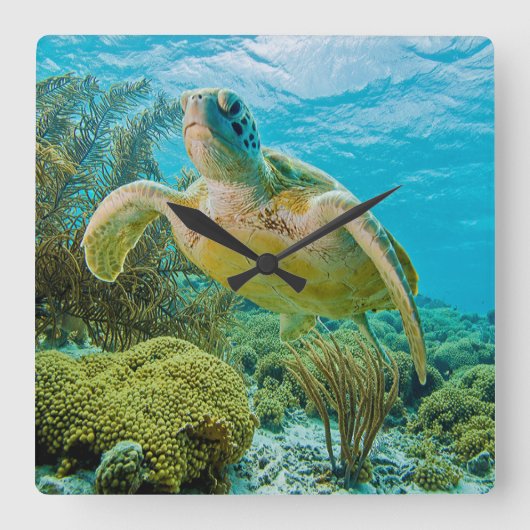 Een groene schildpad op de zwarte riffen van Bonai Vierkante Klok (Voorkant)