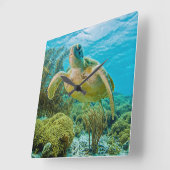 Een groene schildpad op de zwarte riffen van Bonai Vierkante Klok (Hoek)