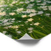 Een groene weide bloeit in het wit poster (Hoek)