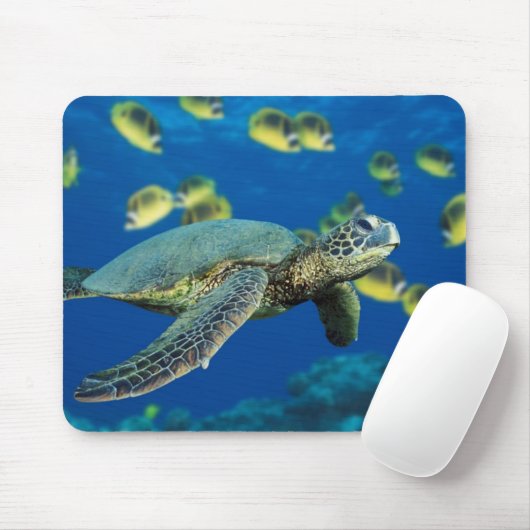 Een groene zeeen schildpad zwemt langs een school muismat (Met muis)