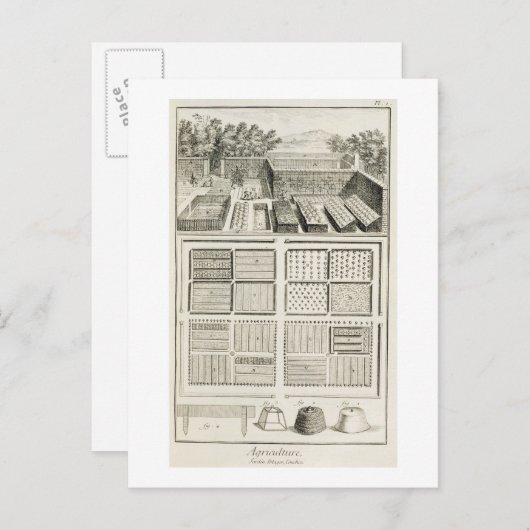 Een groentetuin uit 'The Encyclopedia of Scie' Briefkaart (Voorkant / Achterkant)