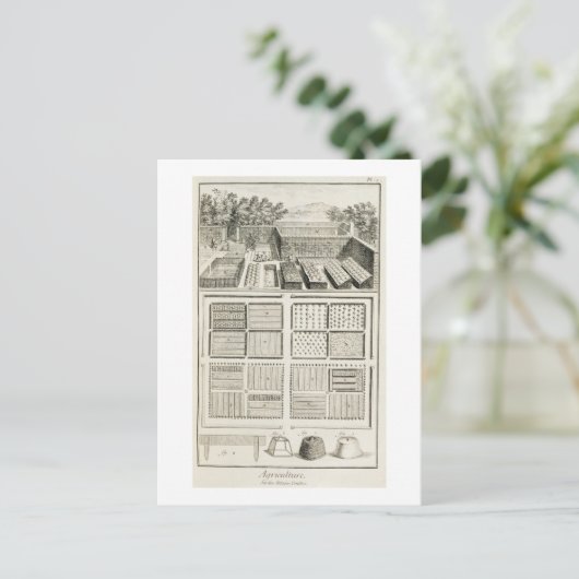 Een groentetuin uit 'The Encyclopedia of Scie' Briefkaart (Staand voorkant)