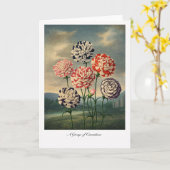 Een groep anjers — Moderne botanische herinterpret Kaart (Gele Bloem)