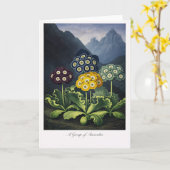 Een Groep Auricula's — Moderne Botanische Herinter Kaart (Gele Bloem)