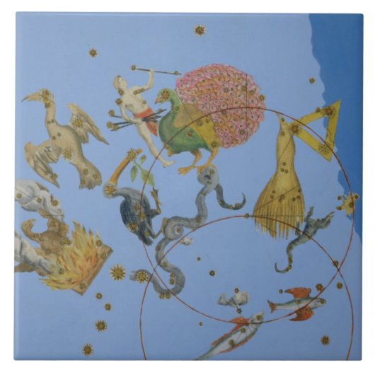 Een groep constellaties uit 'Uranometria' door Jo Tegeltje (Voorkant)