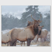 EEN GROEP DEERS CADEAUPAPIER (Vlak)