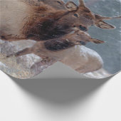 EEN GROEP DEERS CADEAUPAPIER (Hoek)