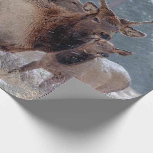 EEN GROEP DEERS CADEAUPAPIER (Hoek)