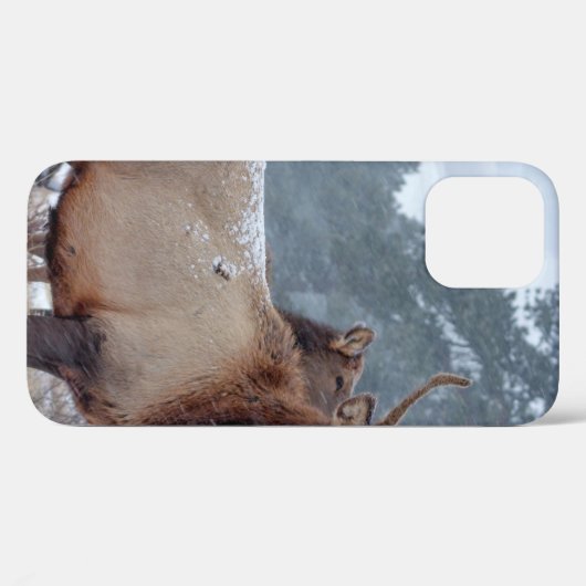 EEN GROEP DEERS Case-Mate iPhone CASE (Achterkant (horizontaal))
