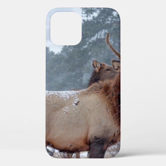 EEN GROEP DEERS Case-Mate iPhone CASE (Achterkant)