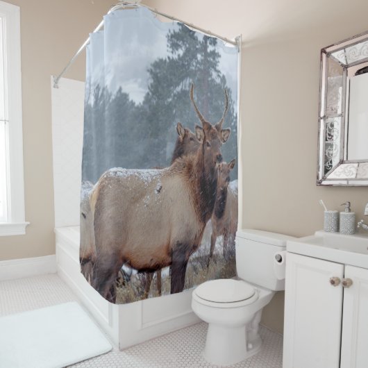 EEN GROEP DEERS DOUCHEGORDIJN (In situ)