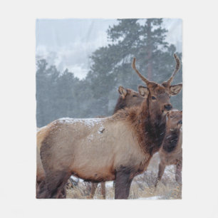 EEN GROEP DEERS FLEECE DEKEN