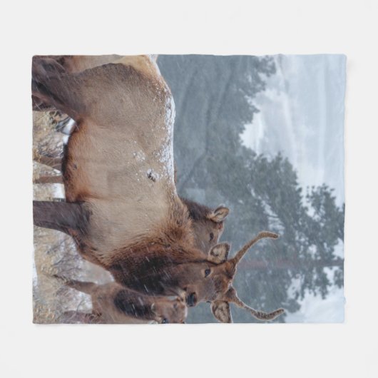 EEN GROEP DEERS FLEECE DEKEN (Voorkant (Horizontaal))