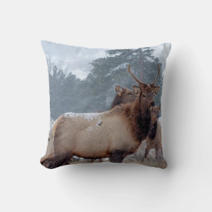 EEN GROEP DEERS KUSSEN