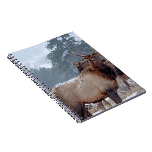 EEN GROEP DEERS NOTITIEBOEK (Rechterzijde)