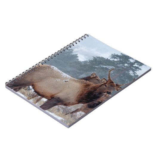 EEN GROEP DEERS NOTITIEBOEK (Linkerzijde)