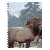 EEN GROEP DEERS NOTITIEBOEK (Voorkant)